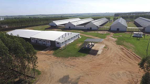 Visão aérea da unidade Rinópolis